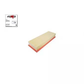 AUTOMEGA 180026310 - Filtre à air
