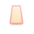 AUTOMEGA 243094010 - Filtre à air