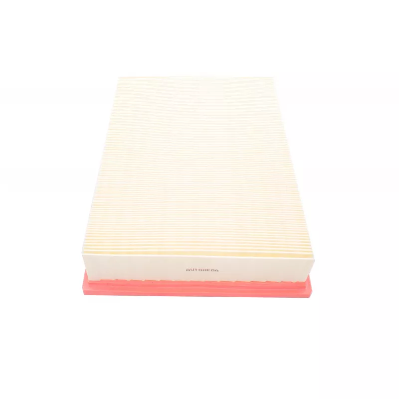 Filtre à air AUTOMEGA 246783510 - Visuel 2