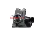 FAST FT58056 - Thermostat d'eau