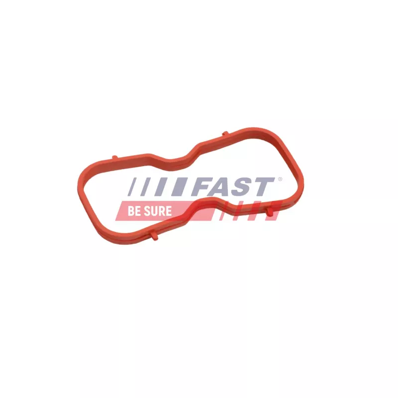 Joint d'étanchéité, collecteur d'admission FAST FT49450 - Visuel 1