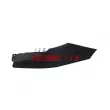 Bordure de phare FAST [FT90855]