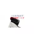 FAST FT60231 - Vanne EGR
