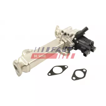 Module-EGR FAST FT60250