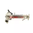 FAST FT60250 - Module-EGR