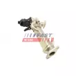 FAST FT60250 - Module-EGR