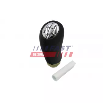 Pommeau FAST OEM 8200379945