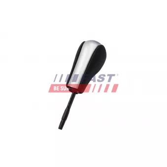 Pommeau FAST FT00178