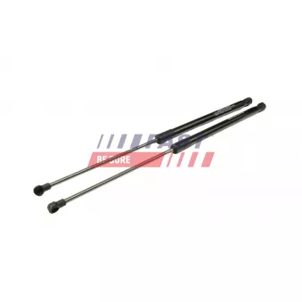 Vérin de hayon, de coffre FAST OEM 8D9827552F