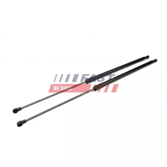 Vérin de hayon, de coffre FAST OEM 74820SMGE01