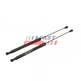 Vérin de hayon, de coffre FAST OEM 30674718