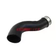 Gaine de suralimentation FAST [FT65166]