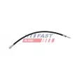 FAST FT10107 - Flexible de frein