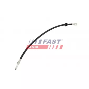 FAST FT10110 - Flexible de frein