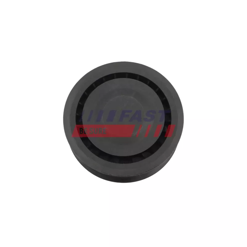 Poulie de tension, courroie trapézoïdale à nervures FAST FT10435 - Visuel 1