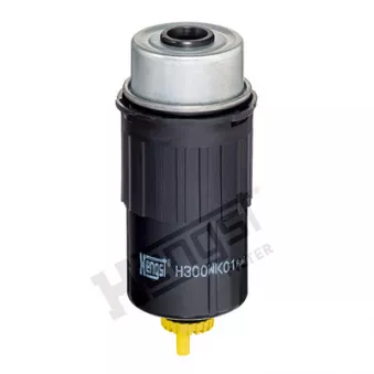 HENGST FILTER H300WK01 - Filtre à carburant