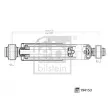 FEBI BILSTEIN 194153 - Jeu de 2 amortisseurs arrière