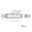 FEBI BILSTEIN 194217 - Jeu de 2 amortisseurs arrière