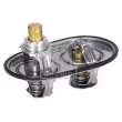 Thermostat, liquide de refroidissement FEBI BILSTEIN [195477]