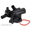 BLUE PRINT ADN19238 - Thermostat d'eau