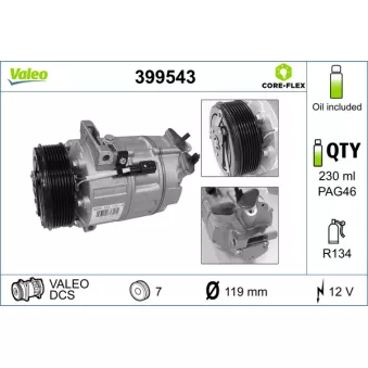 Compresseur, climatisation VALEO OEM 8200454172