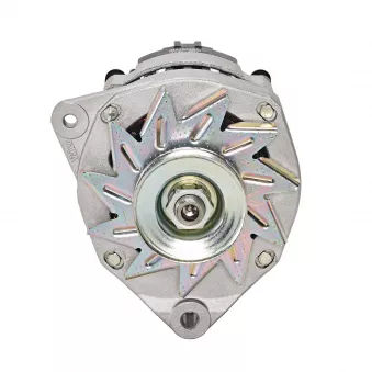 Alternateur VALEO 436312