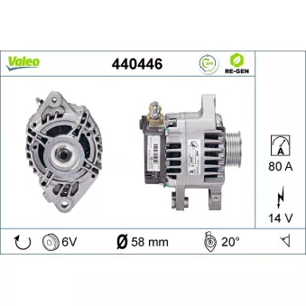 Alternateur VALEO OEM 270600Q020