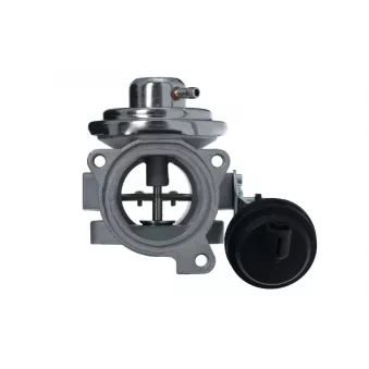 Vanne EGR VALEO OEM 045131501C
