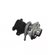 VALEO 703241 - Vanne EGR