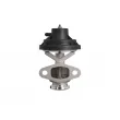 VALEO 703257 - Vanne EGR