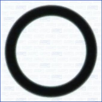 AJUSA 16086200 - Joint, raccord d'eau (compresseur)