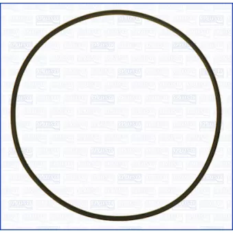 AJUSA 16102500 - Joint d'étanchéité, pompe à eau