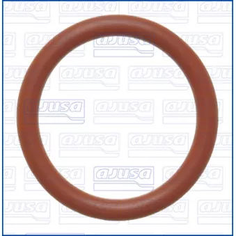 AJUSA 16553900 - Joint, tuyauterie de liquide de refroidissement
