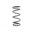 Ressort de suspension MAGNUM TECHNOLOGY [SZ5076]