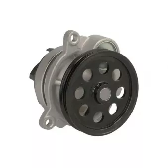 Pompe à eau, refroidissement du moteur THERMOTEC D1G060TT