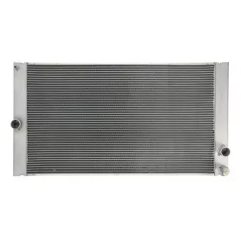 Radiateur, refroidissement du moteur THERMOTEC OEM 8603634