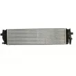 THERMOTEC DAV013TT - Intercooler, échangeur