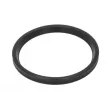 THERMOTEC DCR278TT - Bague d'étanchéité, gaine de suralimentation