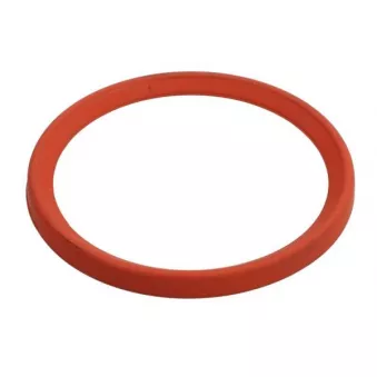 THERMOTEC DCR281TT - Bague d'étanchéité, gaine de suralimentation