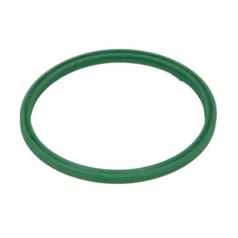 Bague d'étanchéité, gaine de suralimentation THERMOTEC DXW013TT