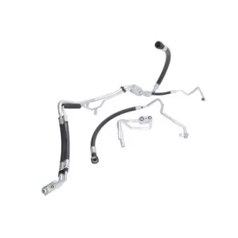 Durite de radiateur THERMOTEC KTT160346 pour FIAT GRANDE PUNTO 1.2 - 69cv