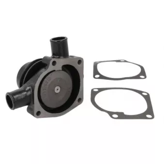 Pompe à eau, refroidissement du moteur THERMOTEC OEM 41312063