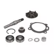 THERMOTEC WP-MF119 - Kit de réparation, pompe à eau