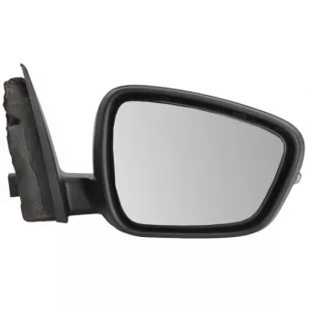 Rétroviseur extérieur BLIC 5402-03-2273311P