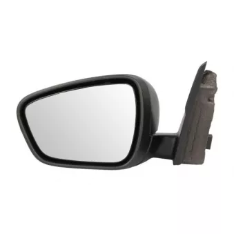 Rétroviseur extérieur BLIC 5402-03-2273312P