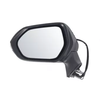 Rétroviseur extérieur BLIC 5402-04-2176322P