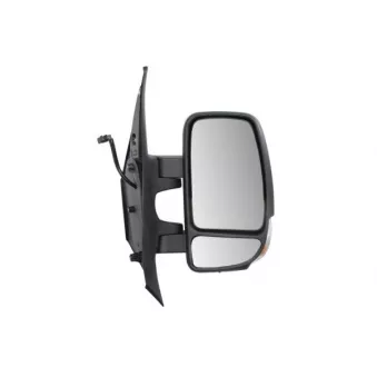 Rétroviseur extérieur BLIC OEM 963017417R