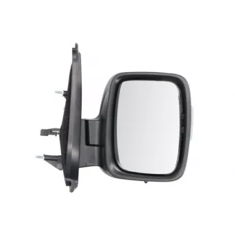 Rétroviseur extérieur BLIC OEM 963012879R