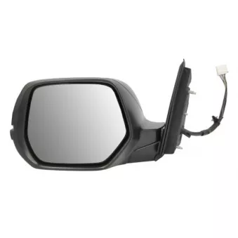 Rétroviseur extérieur BLIC 5402-12-0482310P pour CITROEN JUMPY 2.0 - 155cv