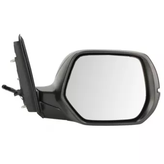 Rétroviseur extérieur BLIC 5402-12-0482311P pour CITROEN JUMPY 2.0 - 155cv